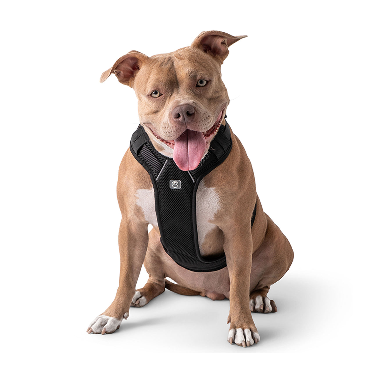 Travel Harness - Black - 6 SIZES -