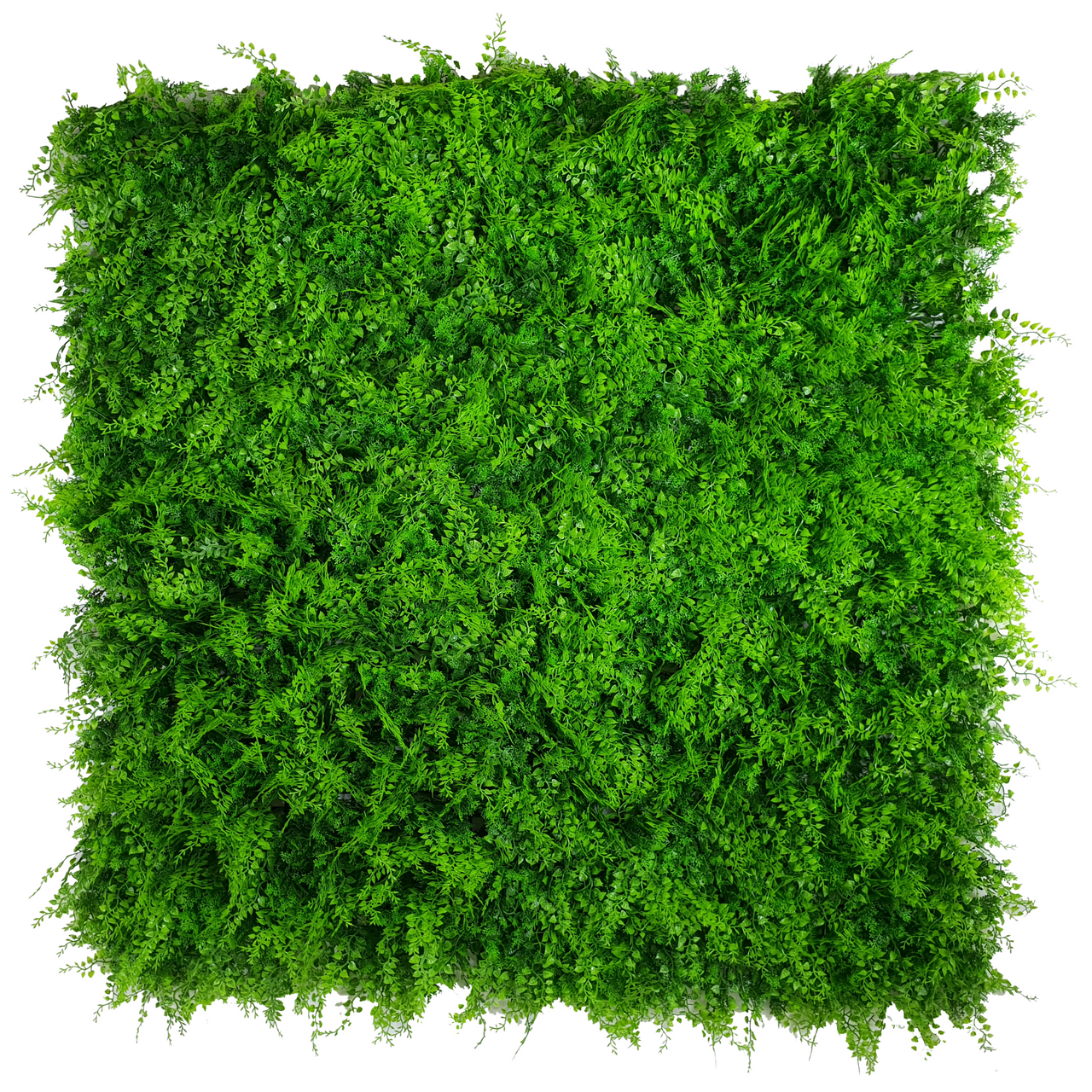 Lush Fern Artificial Green Wall 40" X 40" 11SQ FT UV Resistant