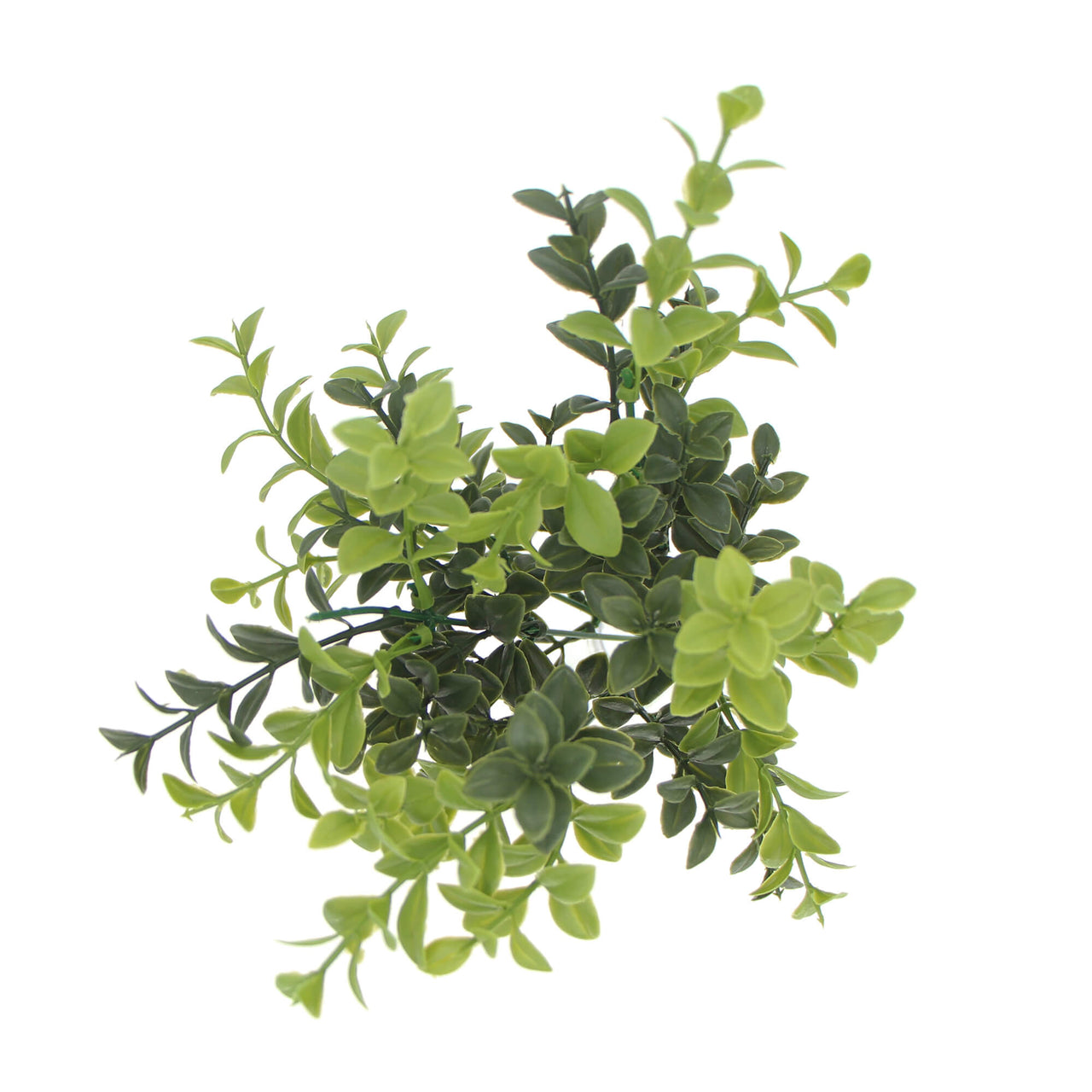 Artificial Rounded Boxwood Stem UV 30cm -