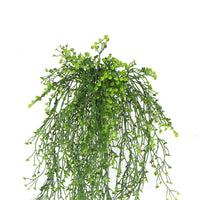 Thumbnail for Artificial Hanging Plant (Natural Green) UV Resistant 90cm -