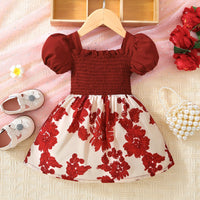 Thumbnail for Baby Girl Floral Frill Trim Square Neck Smocked Dress - T - 5 SIZES - 1 COLOR -