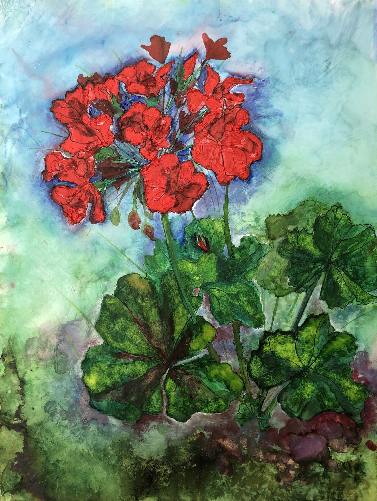 Geraniums : Greeting Card - 5"X7" - 1 OR SET(6) -