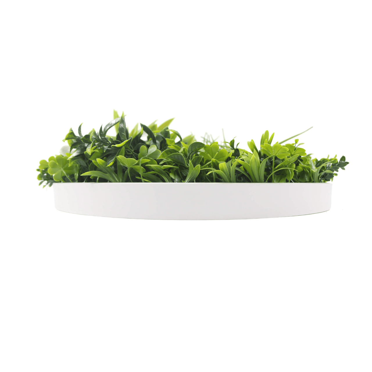 Luxury Artificial Green Wall Disc 20" White Frame UV Resistant