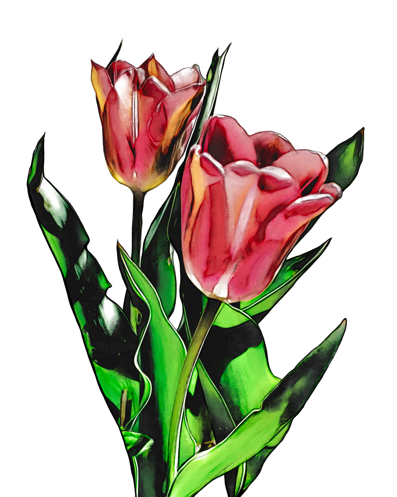 Tulips in the Garden Wall Art Print - 3 SIZES -