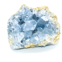 Thumbnail for Whyte Quartz - Grade a Celestite Druzy Clusters - 7 WEIGHTS -