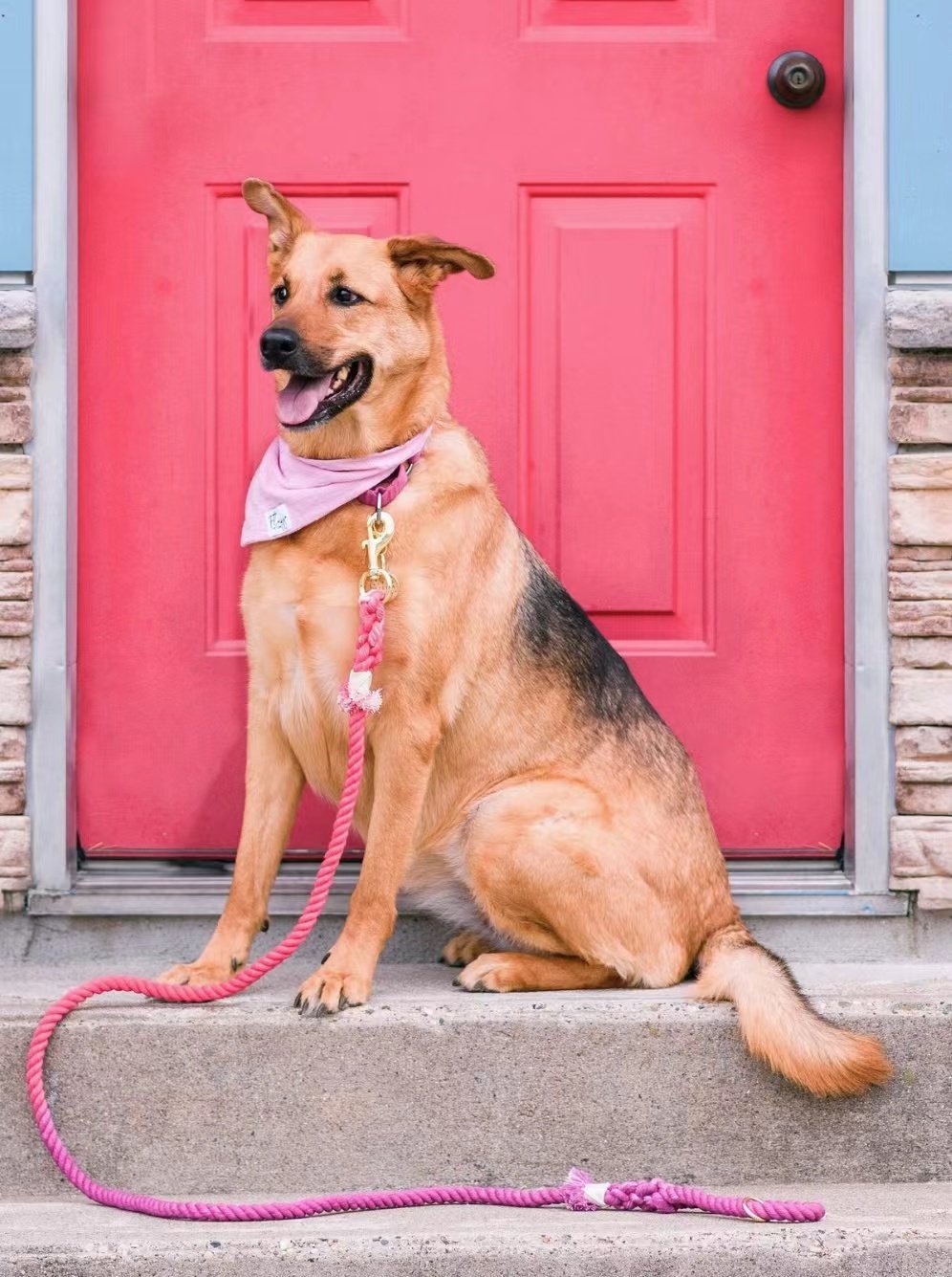 Dog Rope Leash - Watermelon Red -