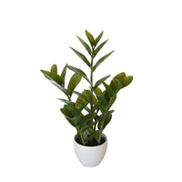 Thumbnail for 60cm Potted Faux Zanzibar -