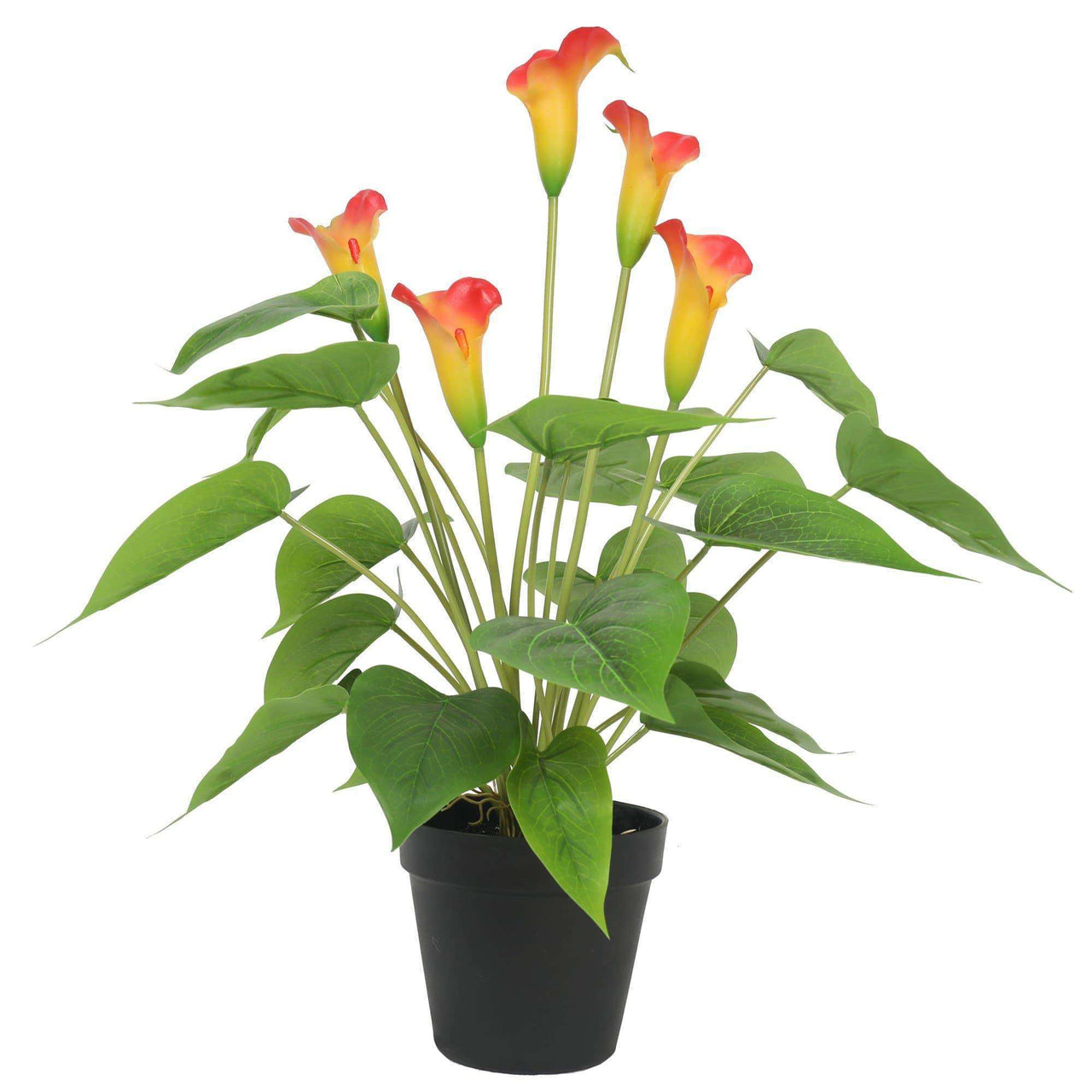 Artificial Flowering White & Orange Peace Lily / Calla Lily Plant 50cm -