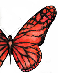 Thumbnail for Orange Butterfly Art Print - 3 SIZES -