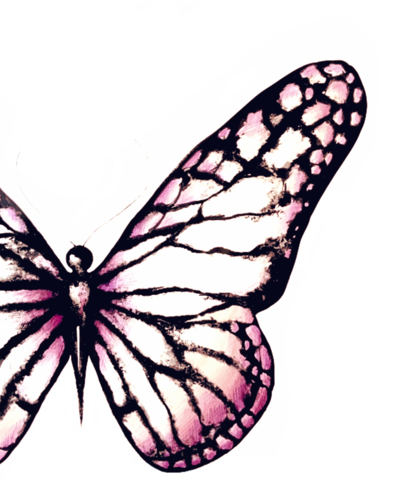 Light Pink Butterfly Art Print - 3 SIZES -