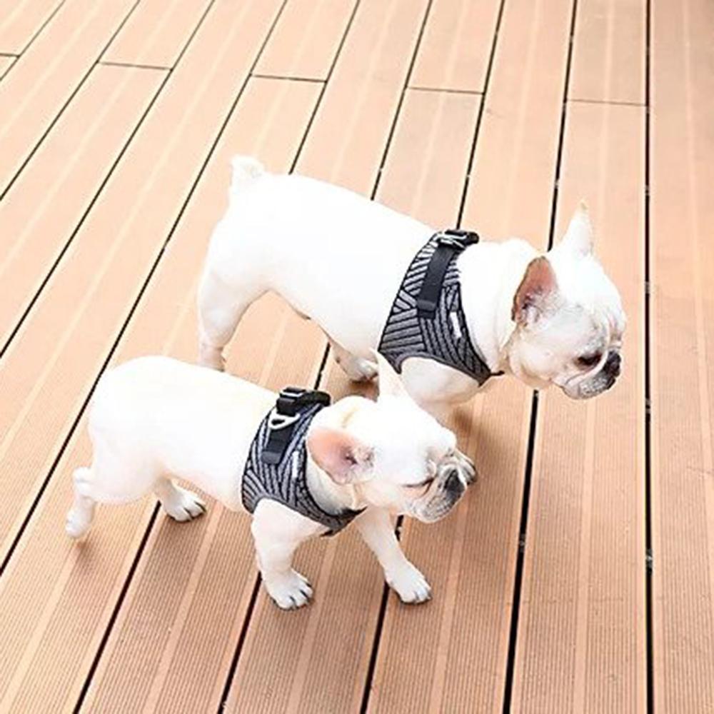 Instachew - PETKIT Air Fly Dog Harness - 4 SIZES -