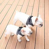 Thumbnail for Instachew - PETKIT Air Fly Dog Harness - 4 SIZES -