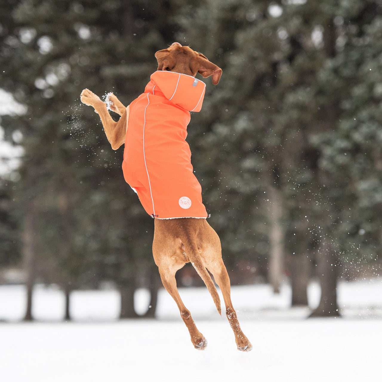 Insulated Raincoat - Orange - 9 SIZES - 1 COLOR -