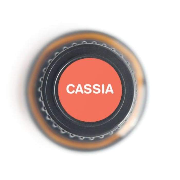 Cassia Pure Essential Oil - 15ml -