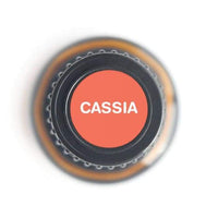 Thumbnail for Cassia Pure Essential Oil - 15ml -