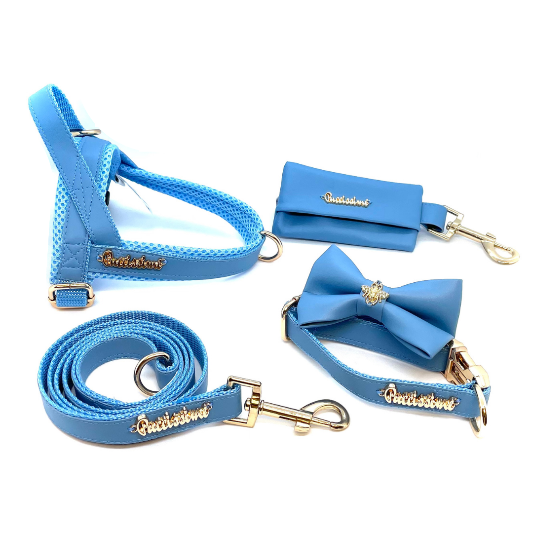 Puccissime - Maya Blue Collar - 4 SIZES -