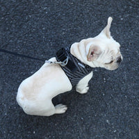 Thumbnail for Instachew - PETKIT Air Fly Dog Harness - 4 SIZES -