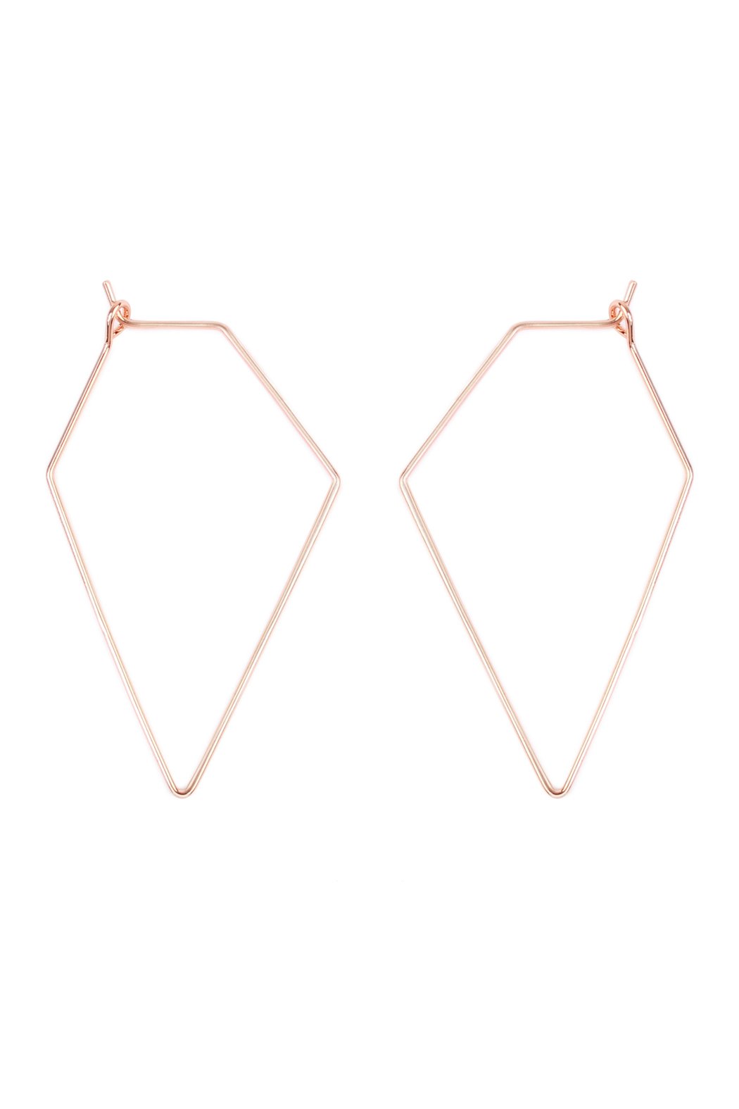 Riah Fashion - Polygon Shape Brass Earrings - 3 FINISHES