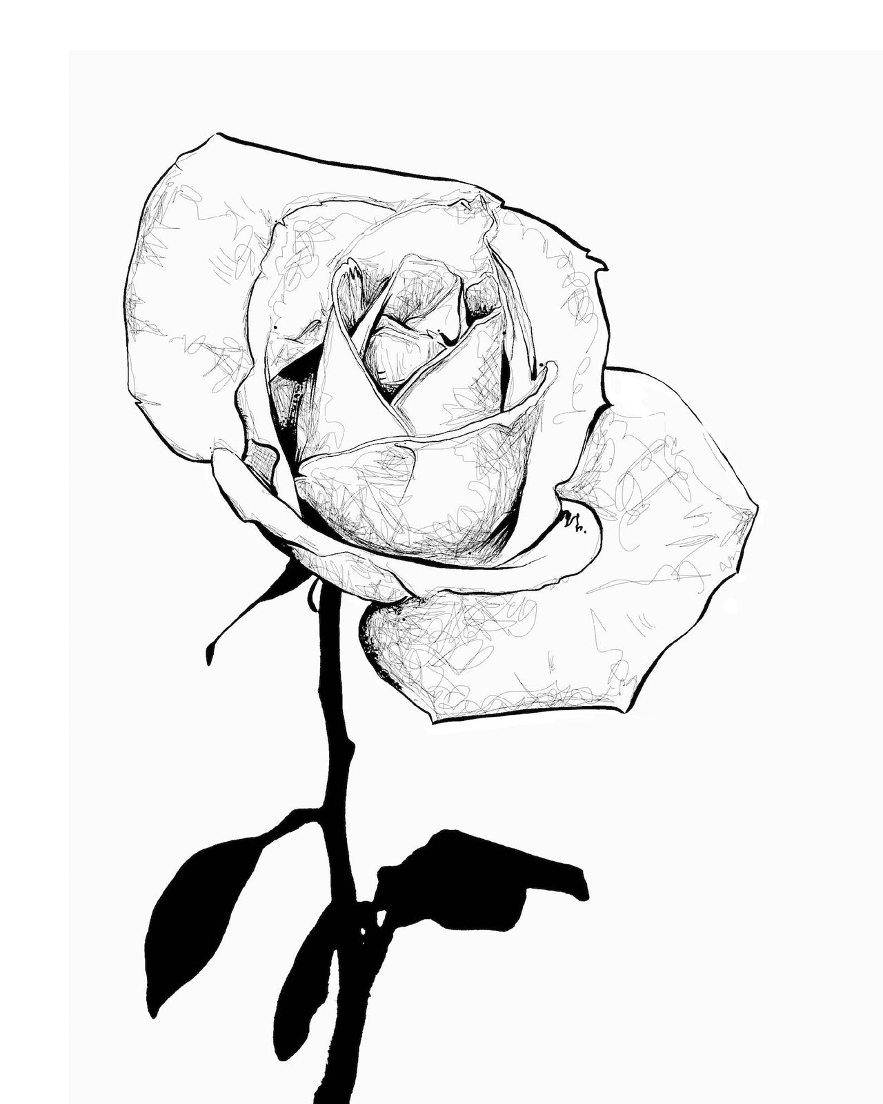 Black and White Single Rose Art Print - 3 SIZES -