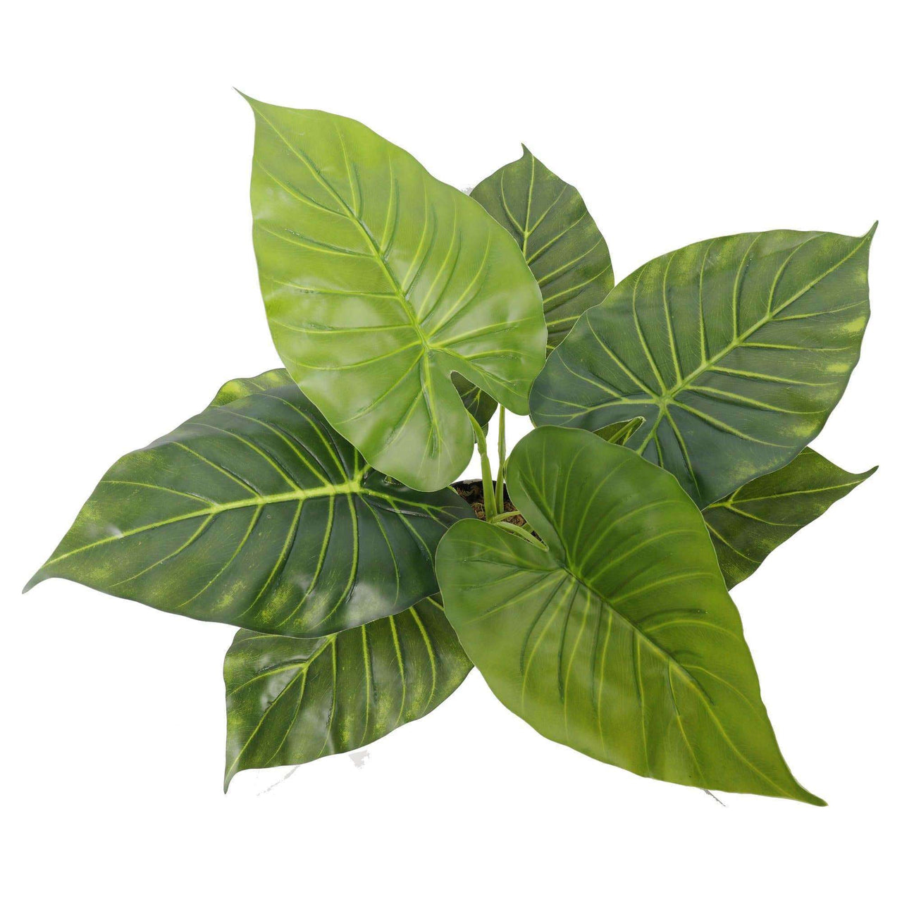 Artificial Potted Taro Plant / Elephant Ear 55cm -