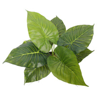 Thumbnail for Artificial Potted Taro Plant / Elephant Ear 55cm -