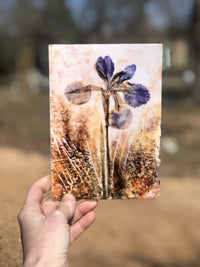 Thumbnail for Pressed Purple Iris : Prints - 3 SIZES -