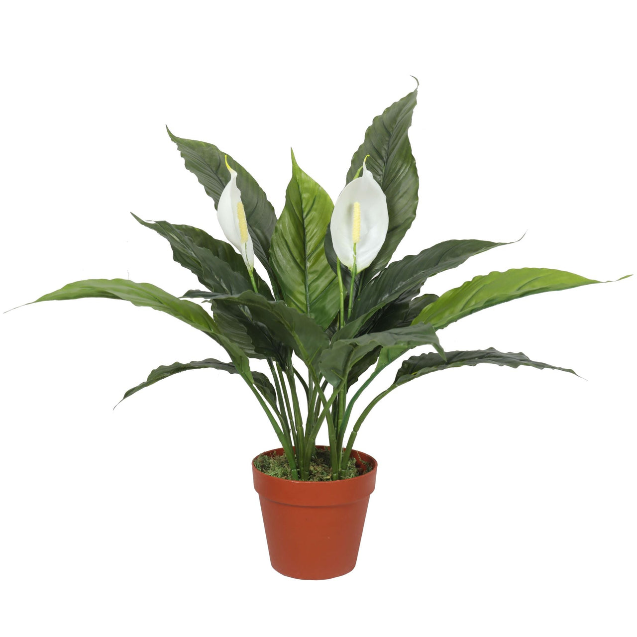 Artificial Spathiphyllum Peace Lily Plant With White Flowers 60cm -