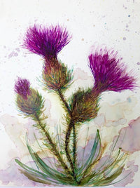 Thumbnail for Three Thistles: Prints - 4 SIZES OR SET OF(6) CARDS -