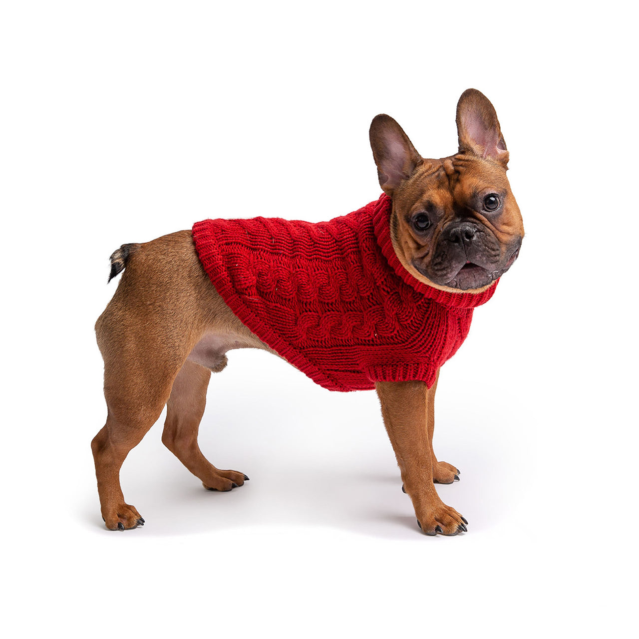 Chalet Dog Sweater - Red - 9 SIZES -