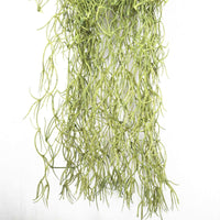 Thumbnail for Artificial Air Plant / Spanish Moss (Old Man Beard) 60cm -