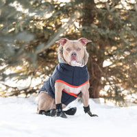 Thumbnail for Winter Sailor Parka - Navy - 9 SIZES - 1 COLOR -