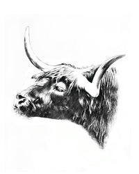 Thumbnail for Highland Bull Wall Art Print - 3 SIZES -