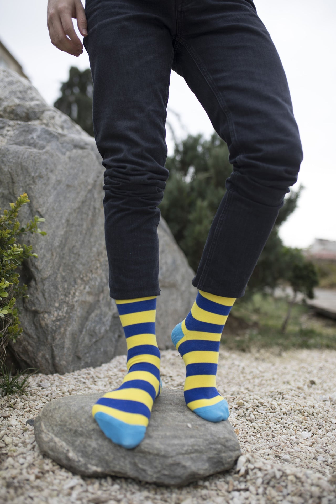 Men's Lemon Sky Stripe Socks - 1 COLOR -