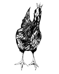 Thumbnail for Curious Chicken Wall Art Print - 3 SIZES -