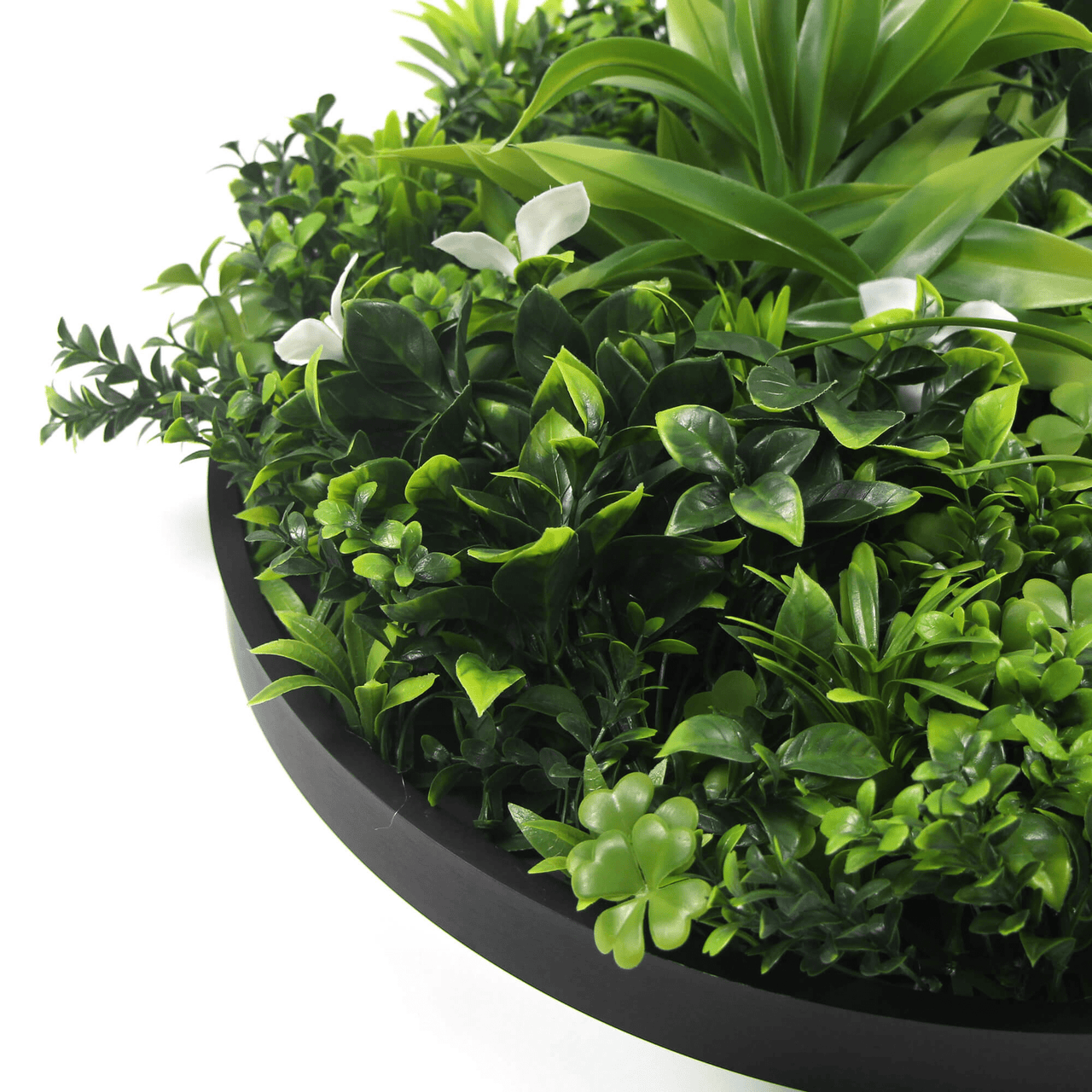 Luxury Artificial Green Wall Disc 20" Black Frame UV Resistant