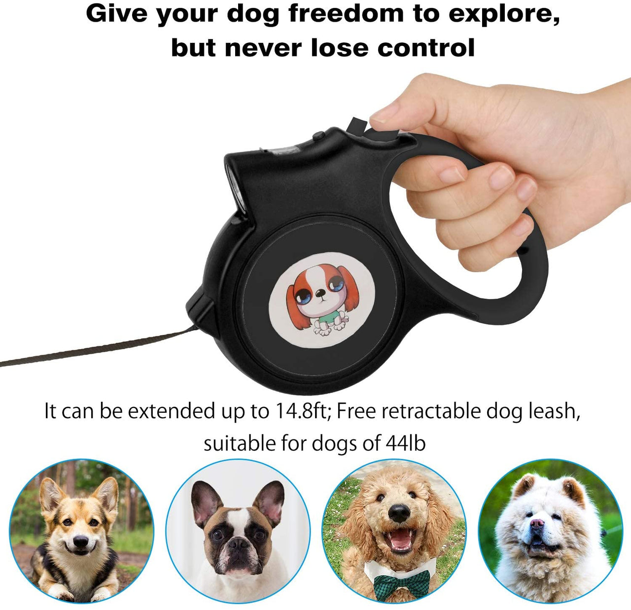 Savoy - LED Lighted Retractable Nylon Dog Leash - Red - 1 COLOR -