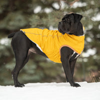 Thumbnail for Insulated Raincoat - Yellow - 9 SIZES - 1 COLOR -