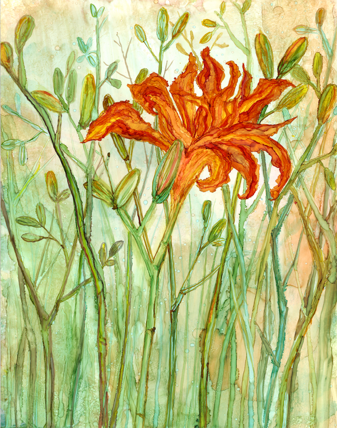 Orange Daylily : Greeting Card - 5"X7" - 1 OR SET(6) -