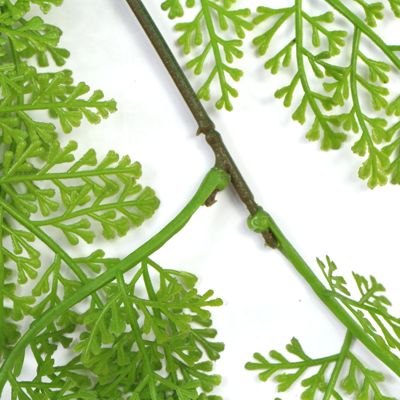 80cm Hanging Fresh Green Dense Maiden Hair Fern Bush UV Resistant -