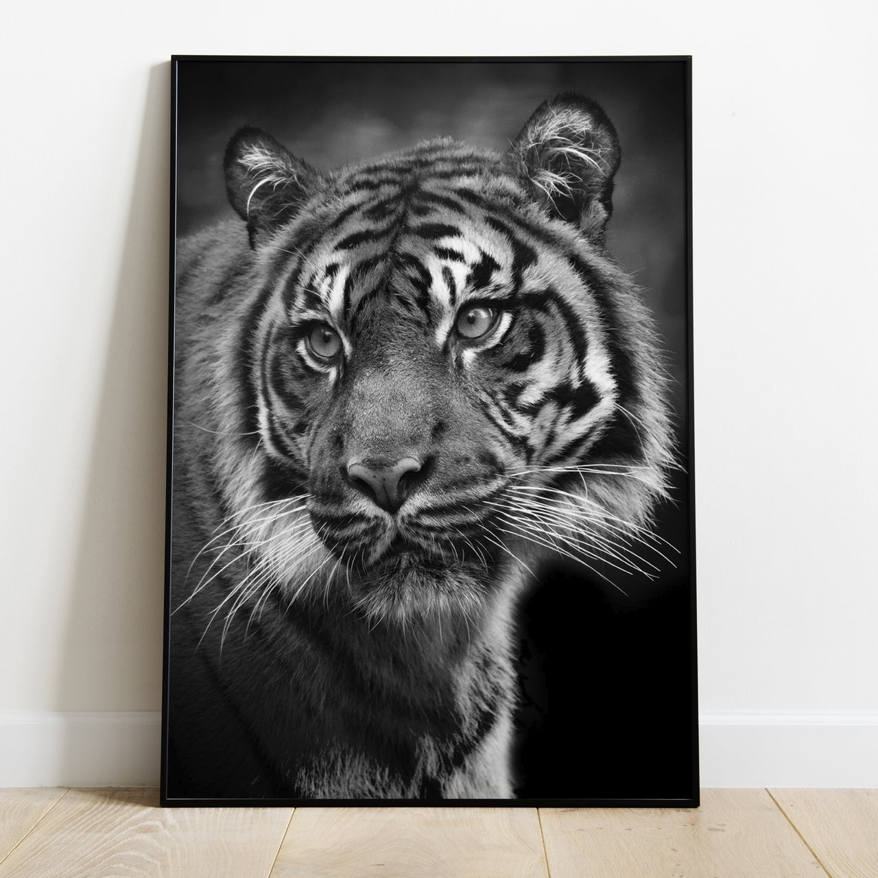 Tiger - USA Printed - 4 SIZES -