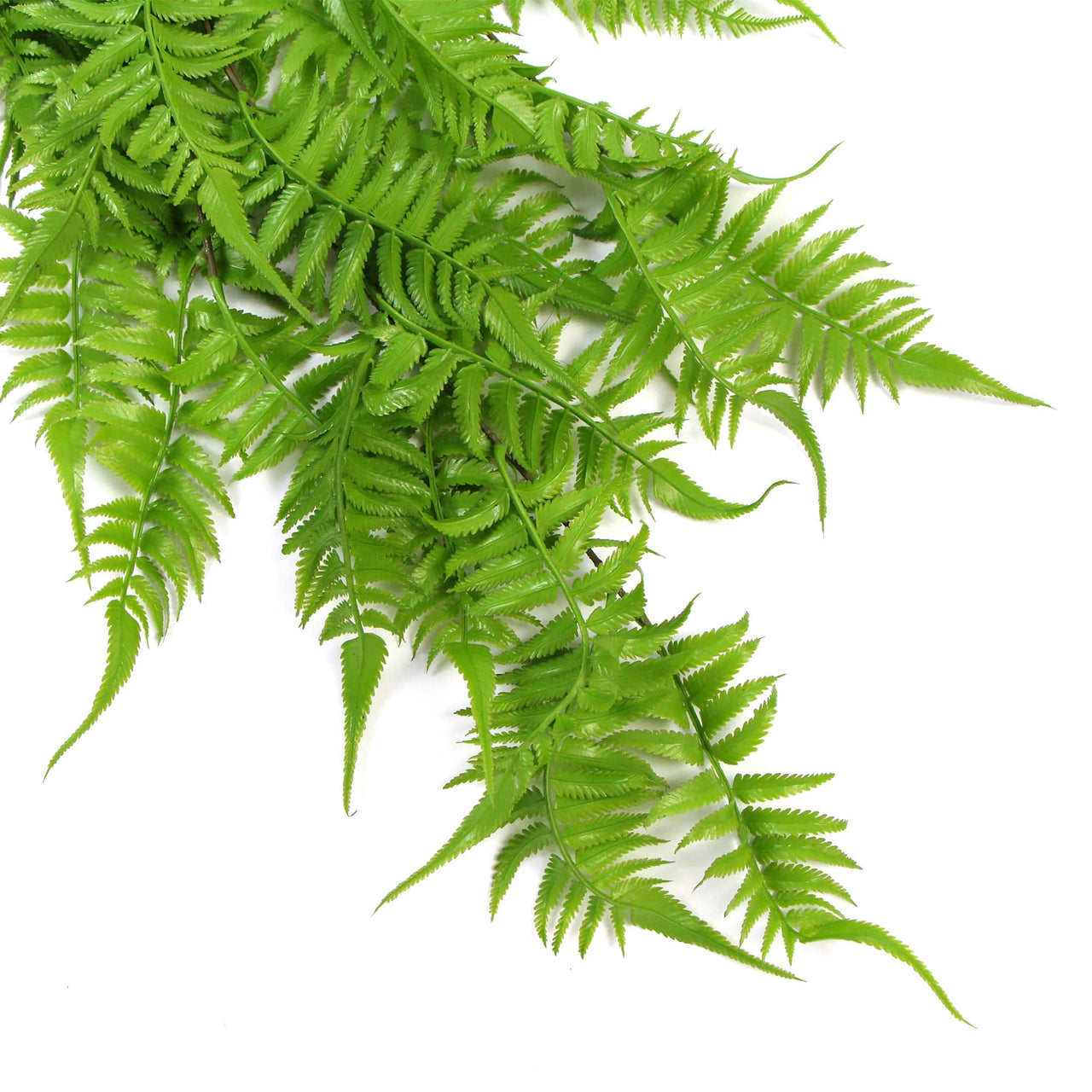 Artificial Hanging English Fern (Two-Tone) Foliage UV Resistant 80cm -