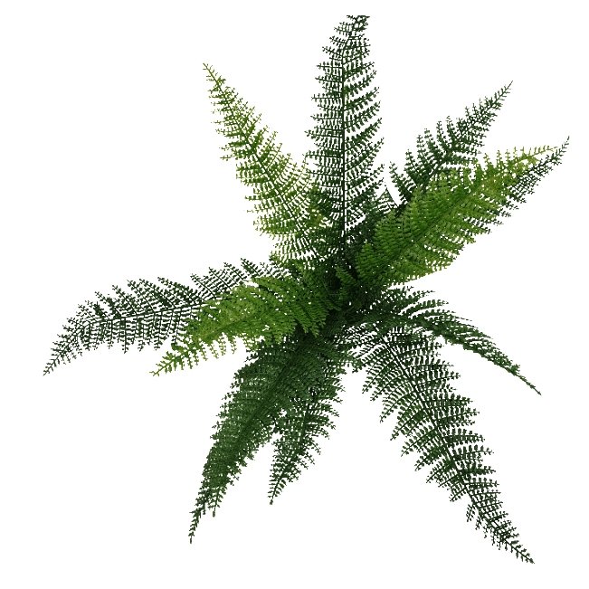 Artificial Draping Fern Stem  45cm -