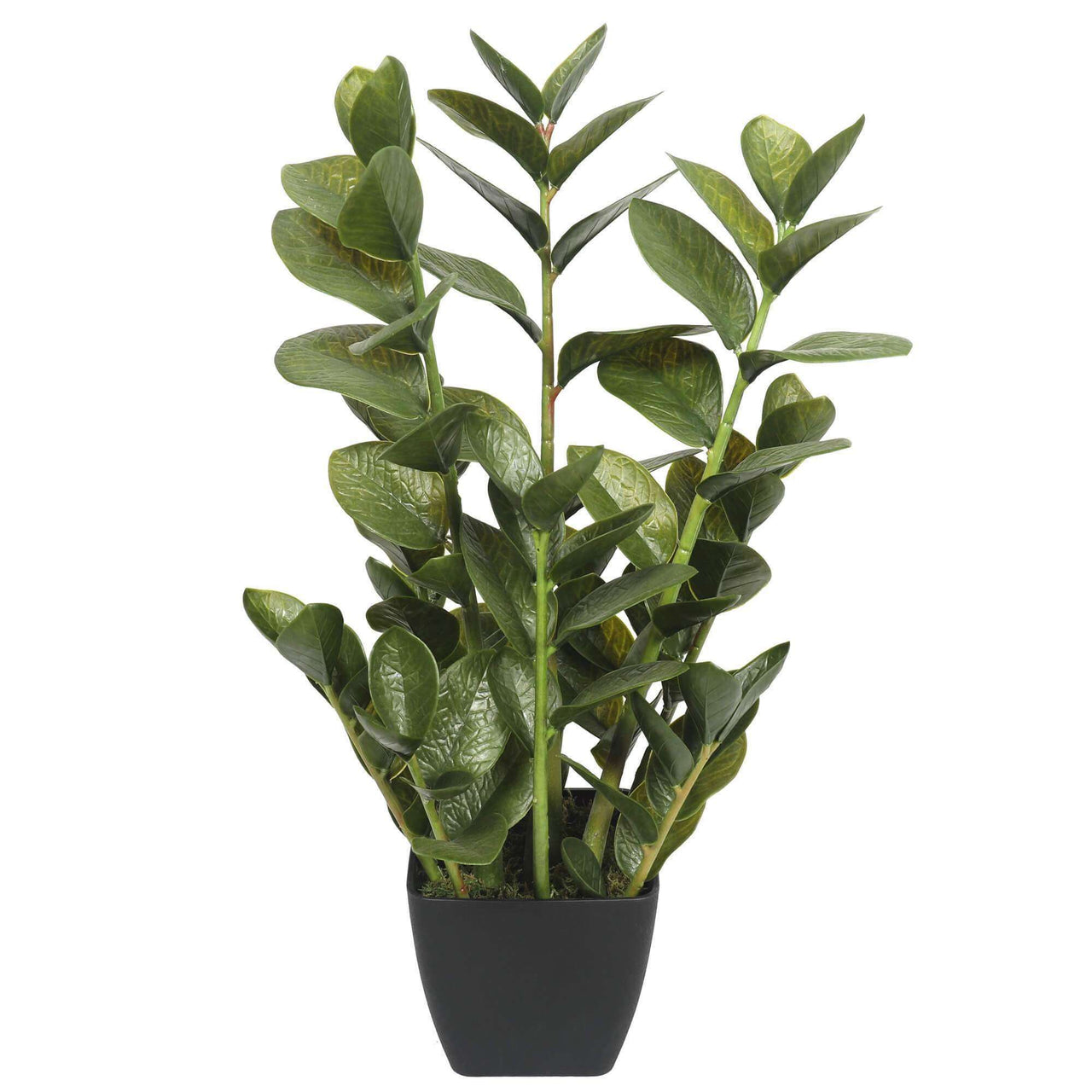 72cm Potted Multi Stem Faux Zanzibar -