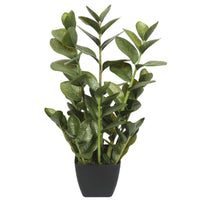 Thumbnail for 72cm Potted Multi Stem Faux Zanzibar -