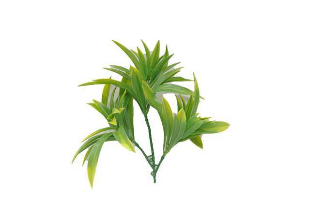 5 Pack - UV Yucca Stem - 30cm -