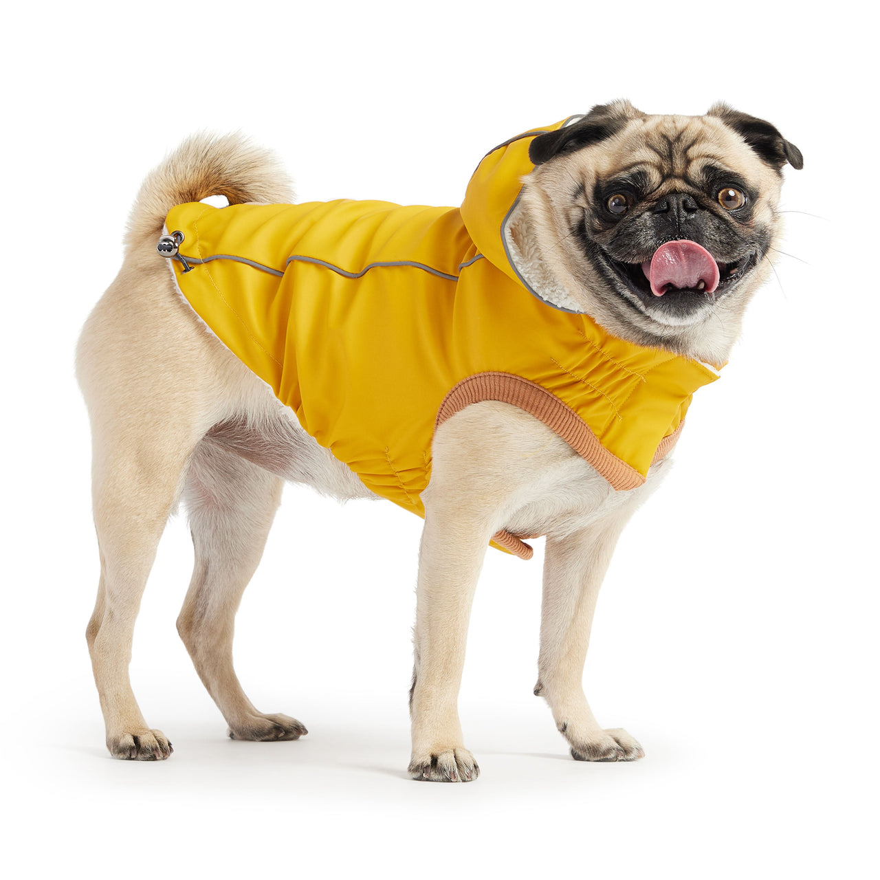 Insulated Raincoat - Yellow - 9 SIZES - 1 COLOR -