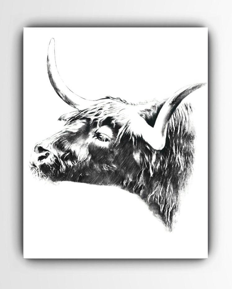 Highland Bull Wall Art Print - 3 SIZES -