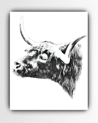 Thumbnail for Highland Bull Wall Art Print - 3 SIZES -