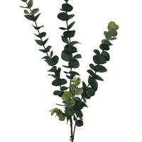 Thumbnail for 5packs Long Eucalyptus Stem 77 Cm -