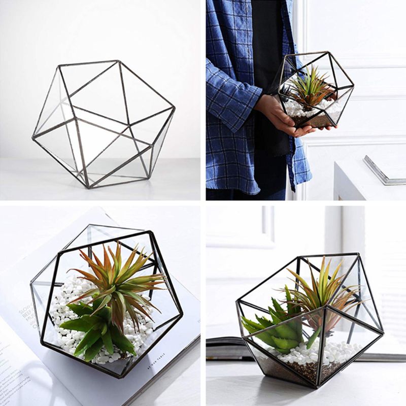 Glass Terrarium Storage Box - Jewelry Holder, Glass Geometric Terrarium Tabletop Succulent Plant Box  - [12 DAY DELIVERY] - 4.4"L X 5.1"W X 4.1"H X 4.5"D - 2 COLORS -